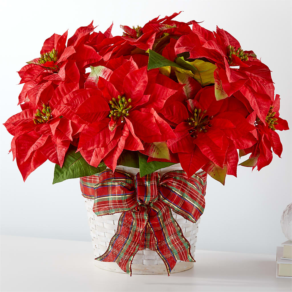 Happiest Holidays Poinsettia – Evergreen Flowers, Tucson AZ