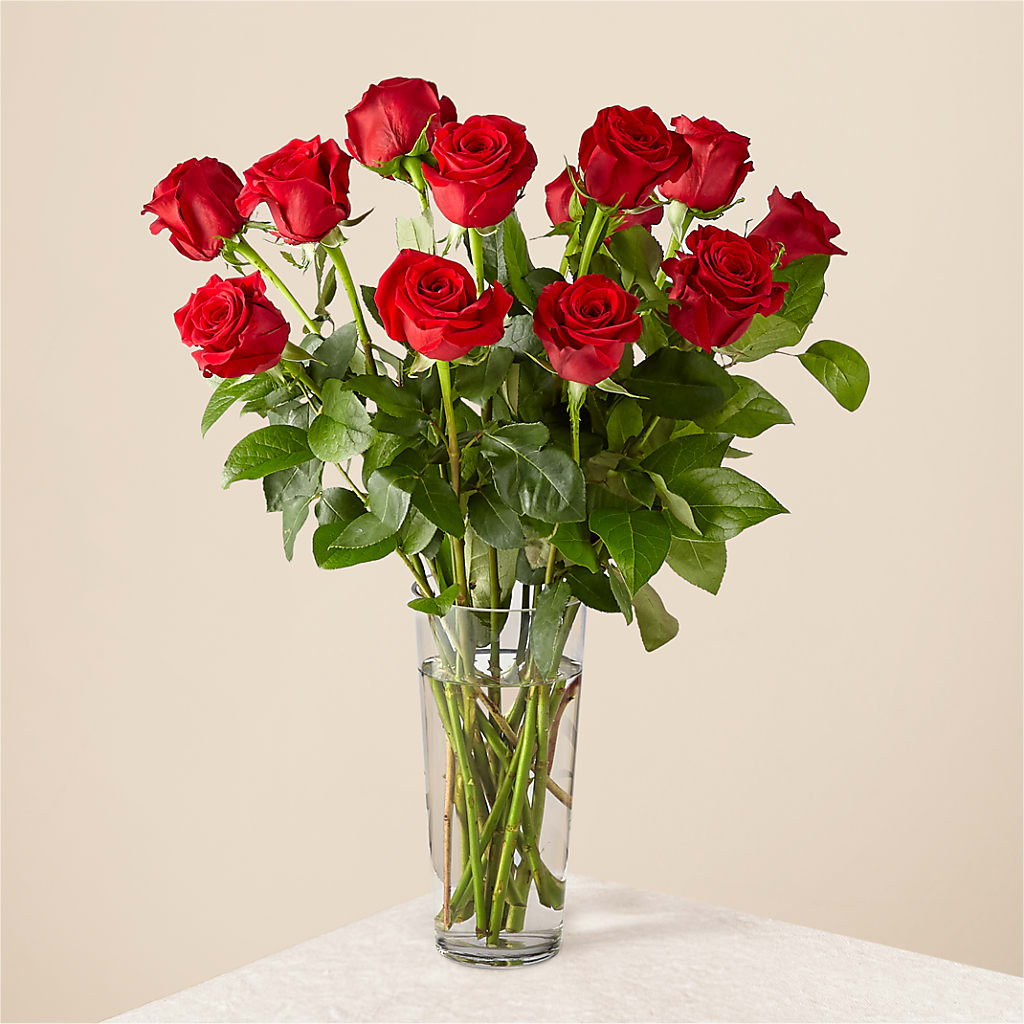 Long Stem Red Rose Bouquet – Evergreen Flowers, Tucson AZ
