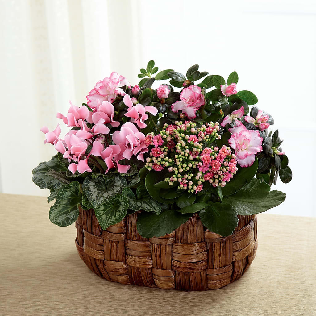 Pink Assortment – Evergreen Flowers, Tucson AZ
