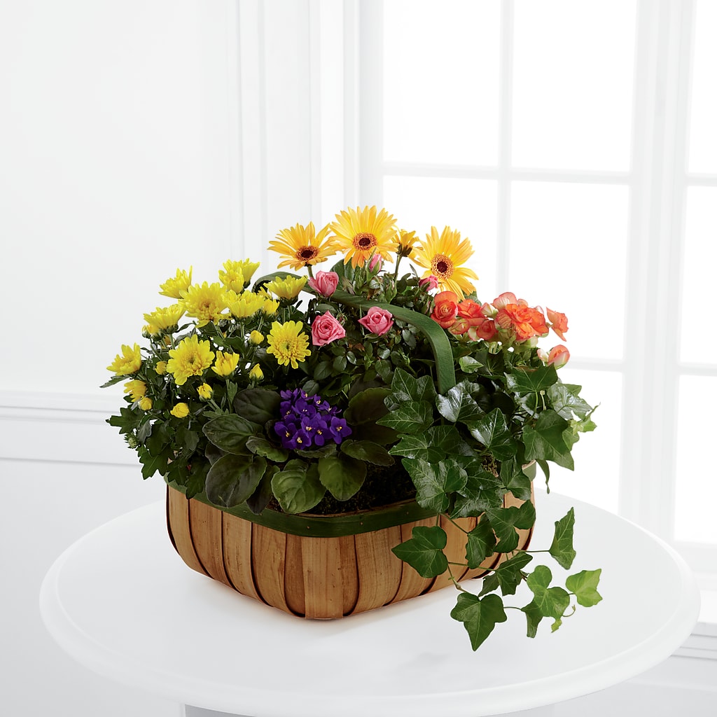 Gentle Blossoms Basket – Evergreen Flowers, Tucson AZ