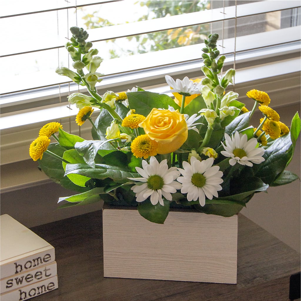 Sun Salutation Box Bouquet – Evergreen Flowers, Tucson AZ