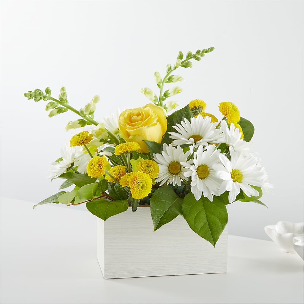 Sun Salutation Box Bouquet – Evergreen Flowers, Tucson AZ