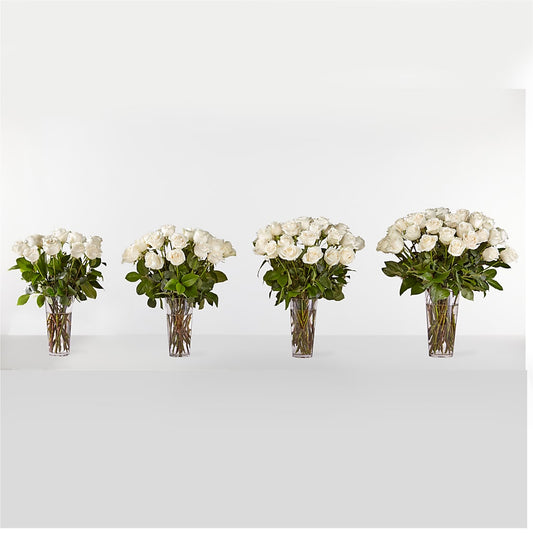 Long Stem White Rose Bouquet – Evergreen Flowers, Tucson AZ