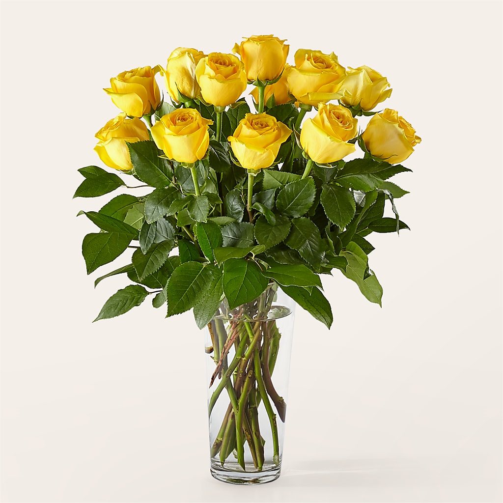 Long Stem Yellow Rose Bouquet – Evergreen Flowers, Tucson AZ