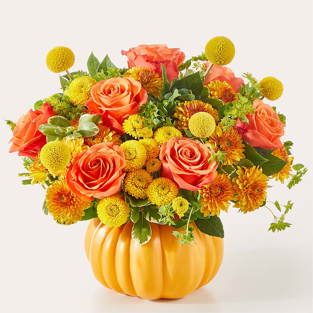 Gourdgeous Pumpkin – Evergreen Flowers, Tucson AZ