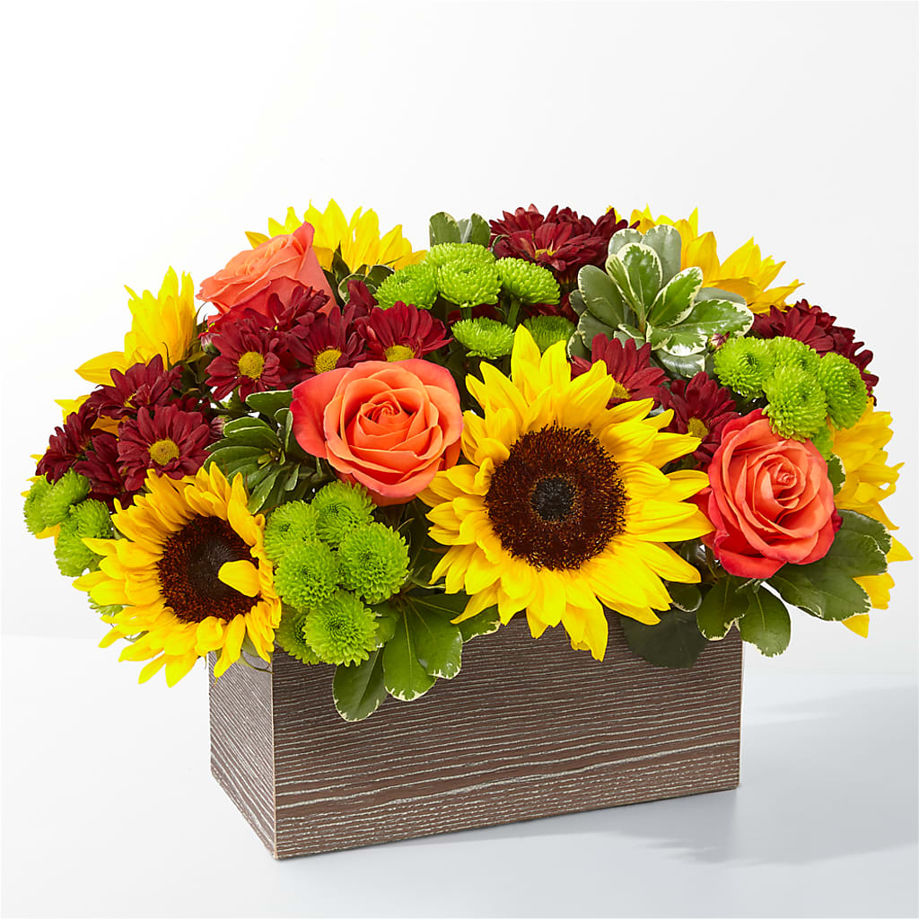 Happy Harvest Garden – Evergreen Flowers, Tucson AZ