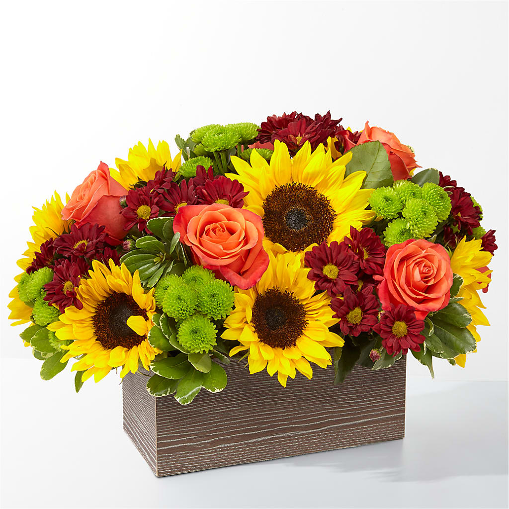 Happy Harvest Garden – Evergreen Flowers, Tucson AZ
