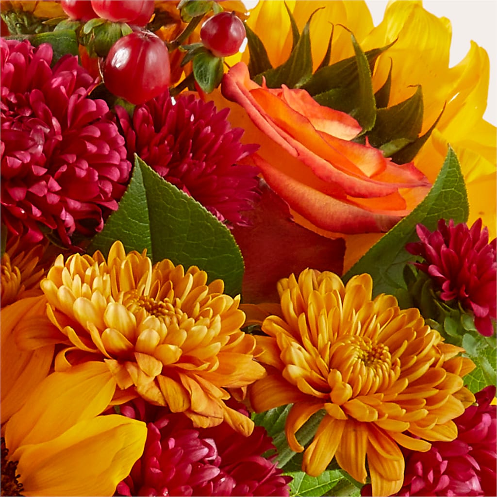 Sweater Season - A Florist Original – Evergreen Flowers, Tucson AZ