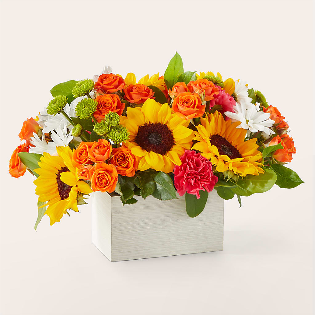 Sun-drenched Blooms Box Bouquet – Evergreen Flowers, Tucson AZ