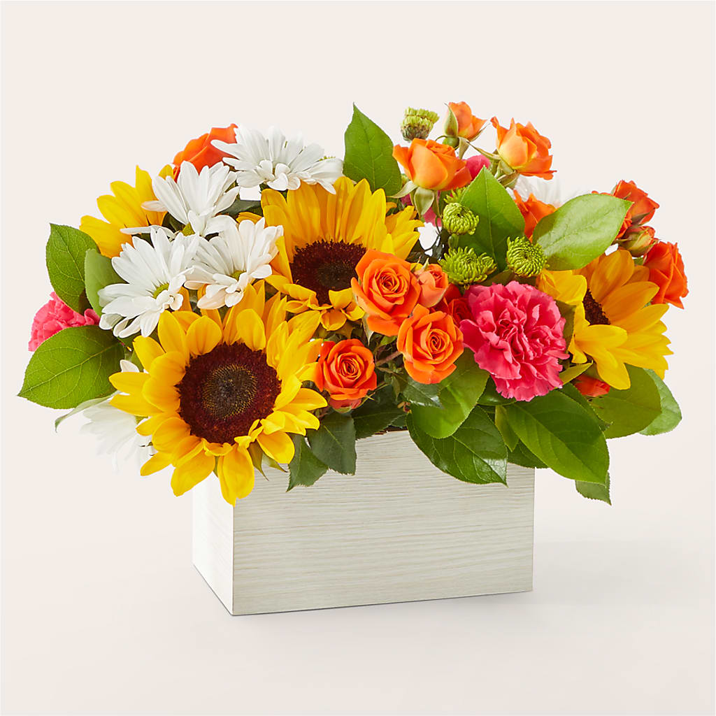 Sun-drenched Blooms Box Bouquet – Evergreen Flowers, Tucson AZ