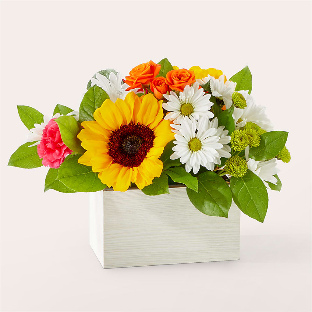Sun-drenched Blooms Box Bouquet – Evergreen Flowers, Tucson AZ