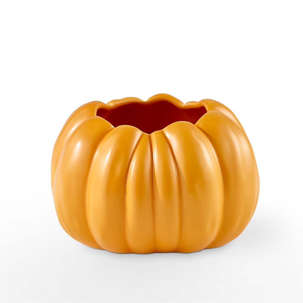 Pick of the Patch Pumpkin Bouquet – Evergreen Flowers, Tucson AZ