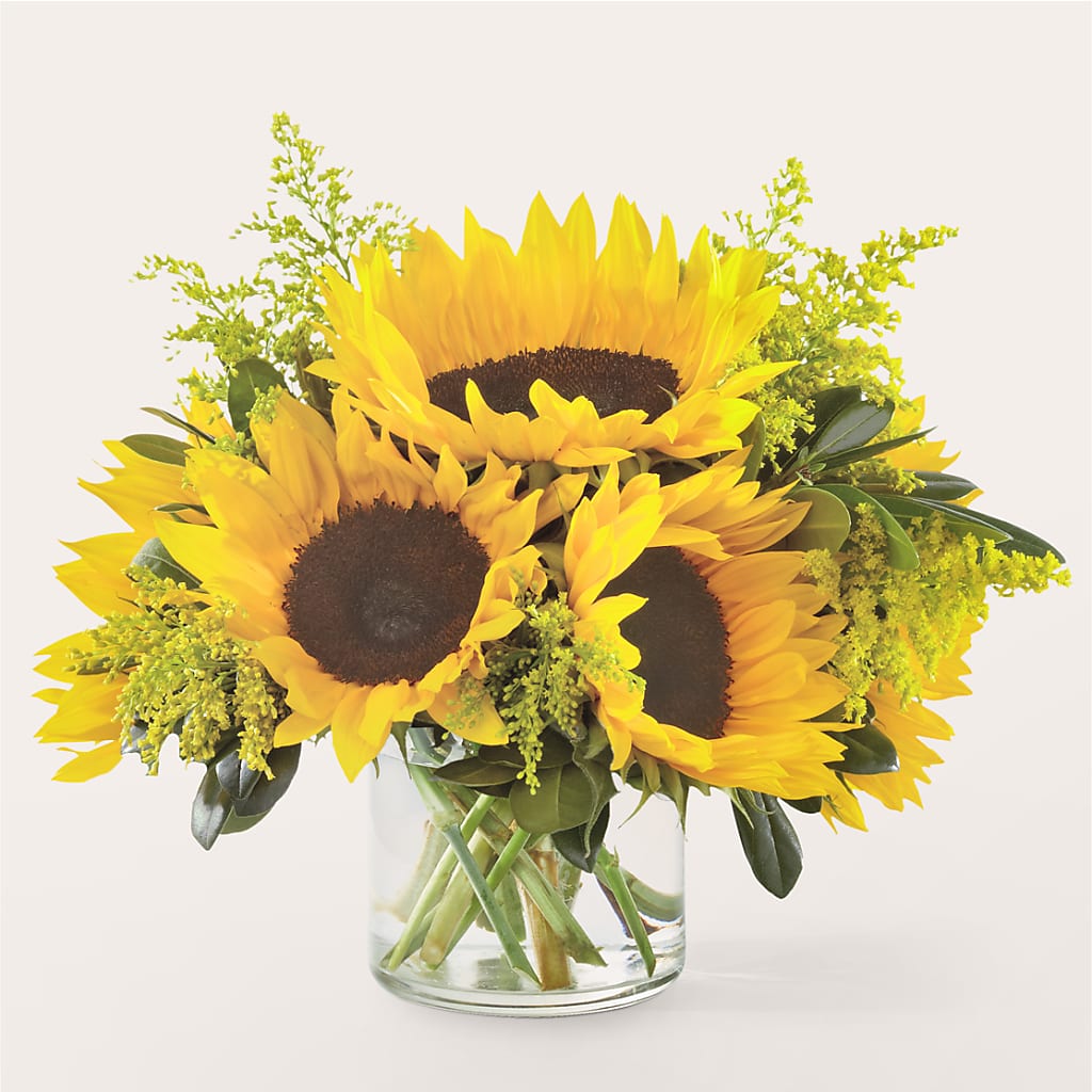 Beaming Sunflower Bouquet – Evergreen Flowers, Tucson AZ