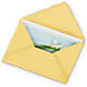 Greeting Card – Evergreen Flowers, Tucson AZ