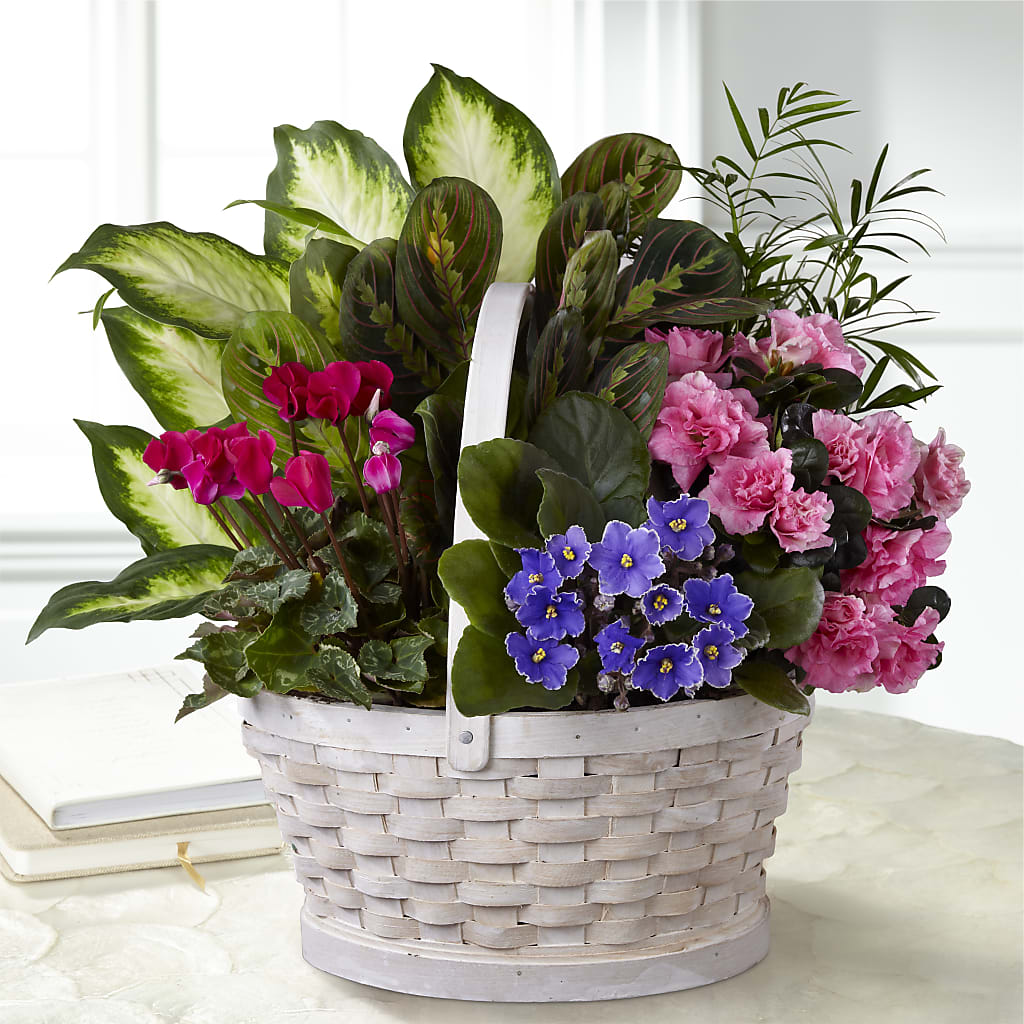 Peaceful Garden Planter – Evergreen Flowers, Tucson AZ