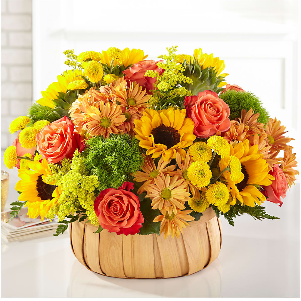 Harvest Sunflower Basket – Evergreen Flowers, Tucson AZ