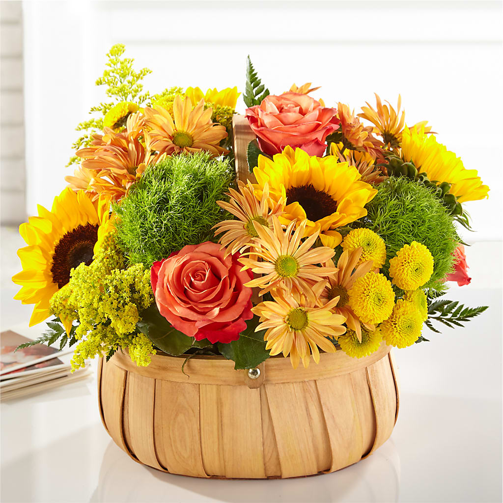 Harvest Sunflower Basket – Evergreen Flowers, Tucson AZ