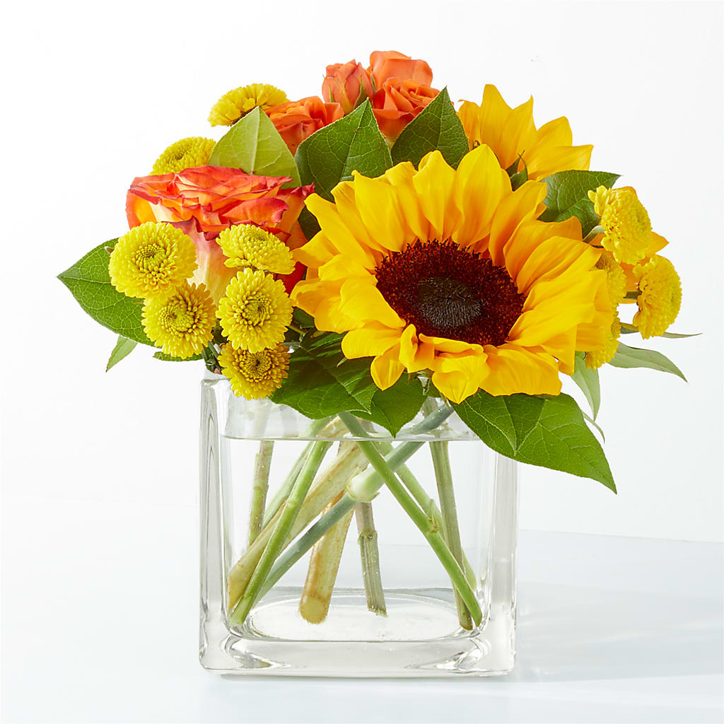 Picnic in the Park Bouquet – Evergreen Flowers, Tucson AZ