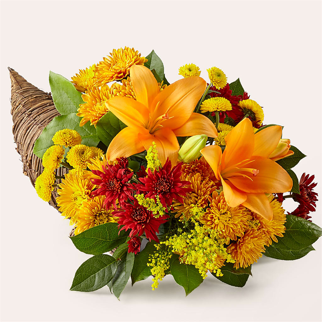 Feast of Color Cornucopia – Evergreen Flowers, Tucson AZ