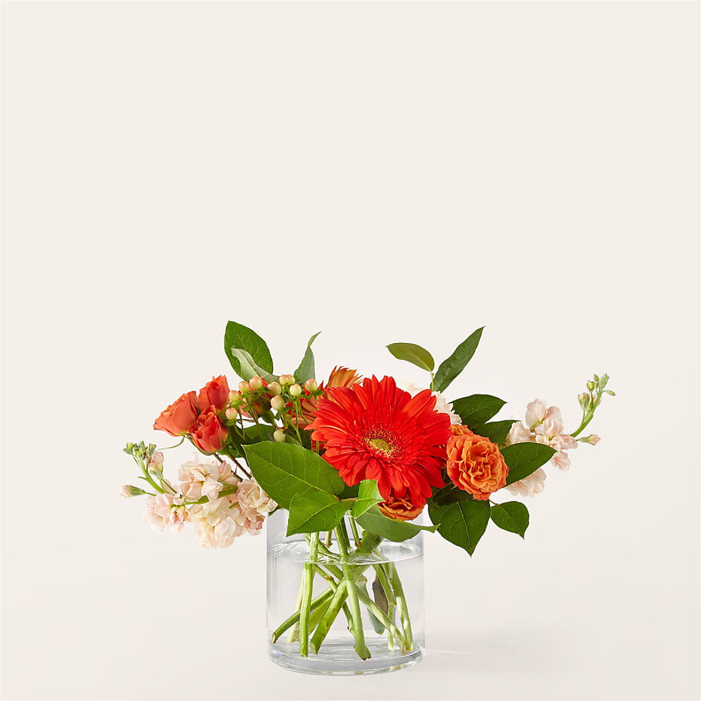 Paloma Please Bouquet – Evergreen Flowers, Tucson AZ
