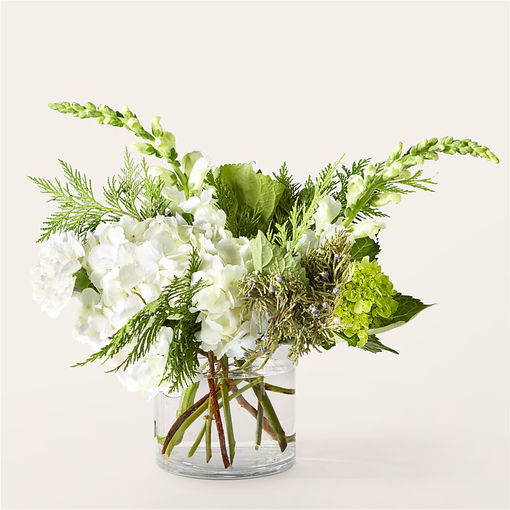 Marshmallows on Top Bouquet – Evergreen Flowers, Tucson AZ