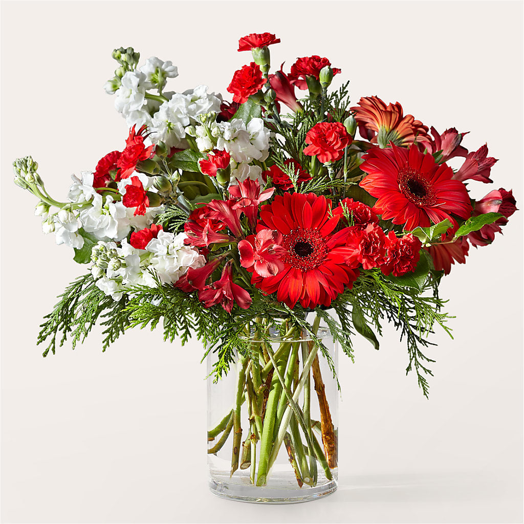 Holidaisy Bouquet – Evergreen Flowers, Tucson AZ