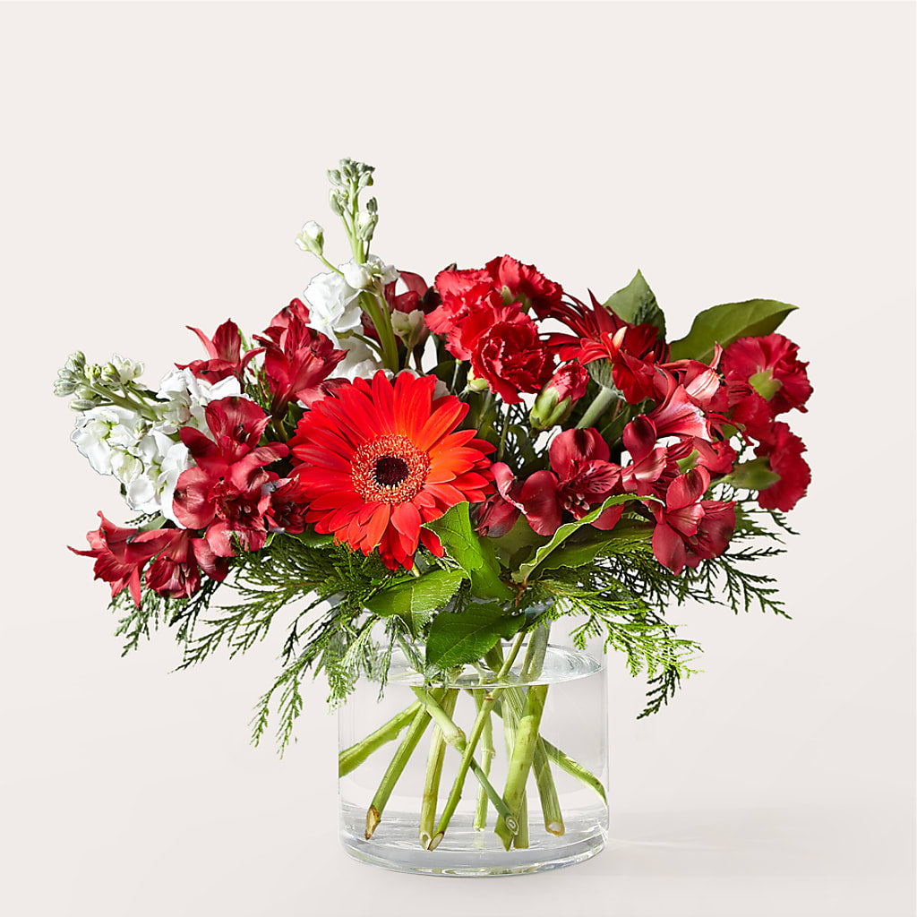 Holidaisy Bouquet – Evergreen Flowers, Tucson AZ