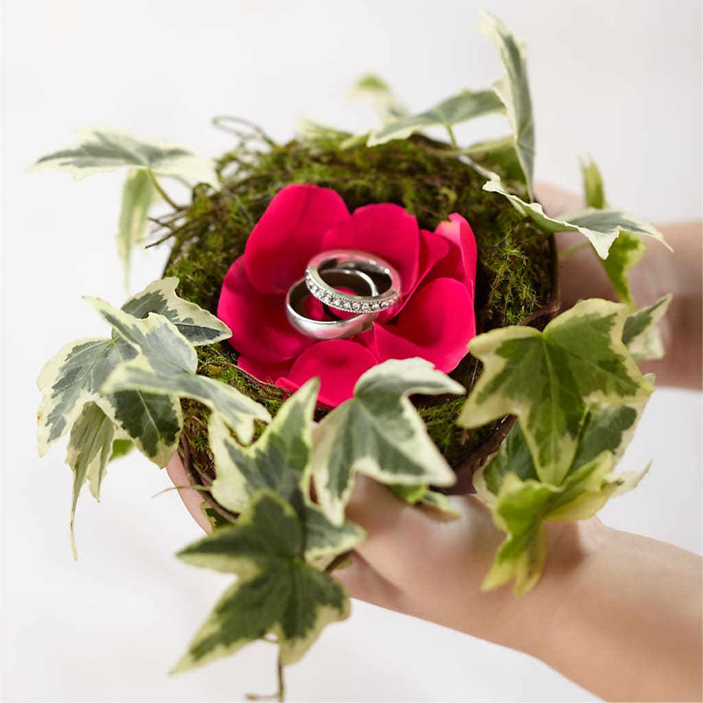 Lila Rose Ring Nest – Evergreen Flowers, Tucson AZ