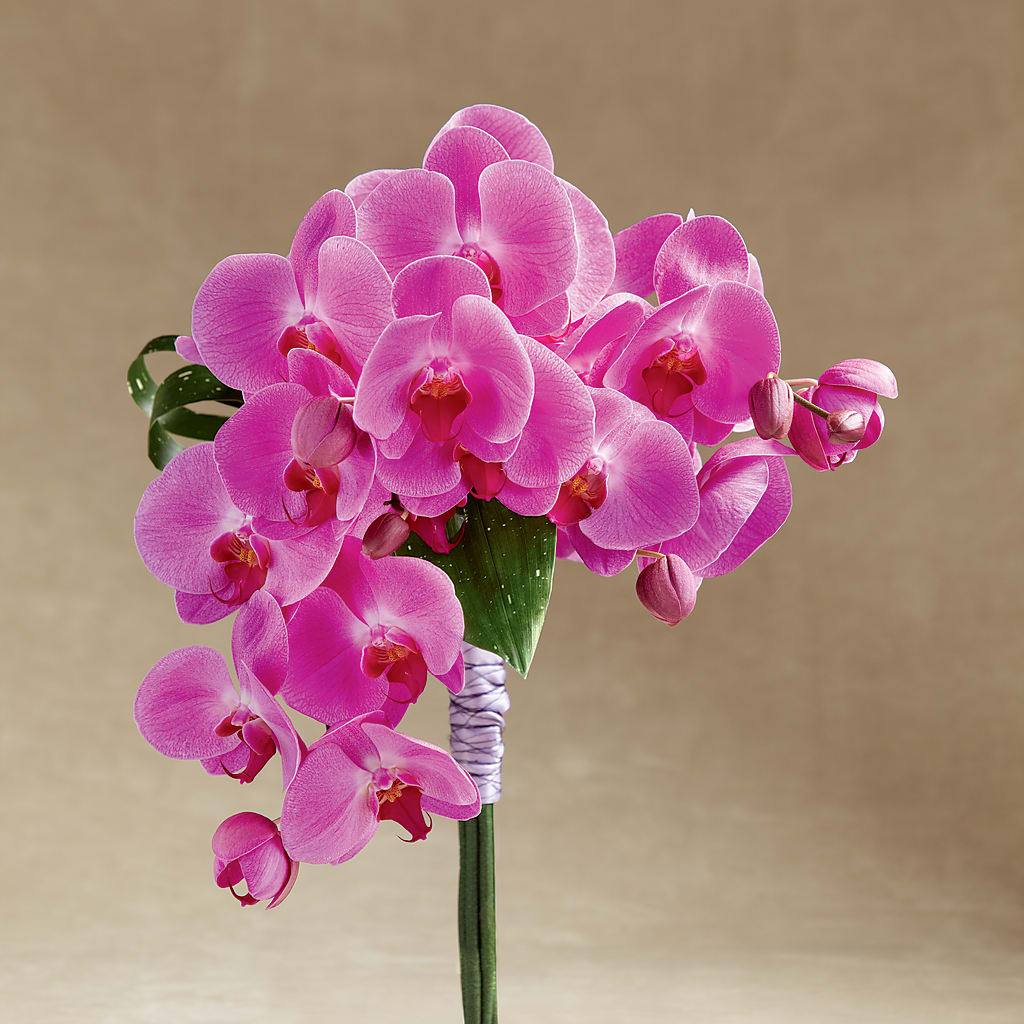 Glorious Bouquet – Evergreen Flowers, Tucson AZ