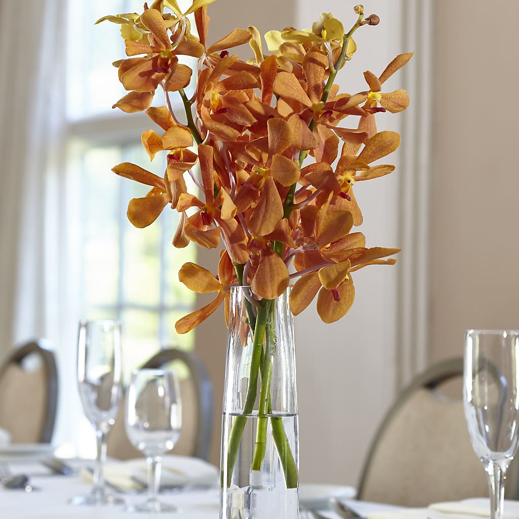 Orange Mokara Bud Vase – Evergreen Flowers, Tucson AZ