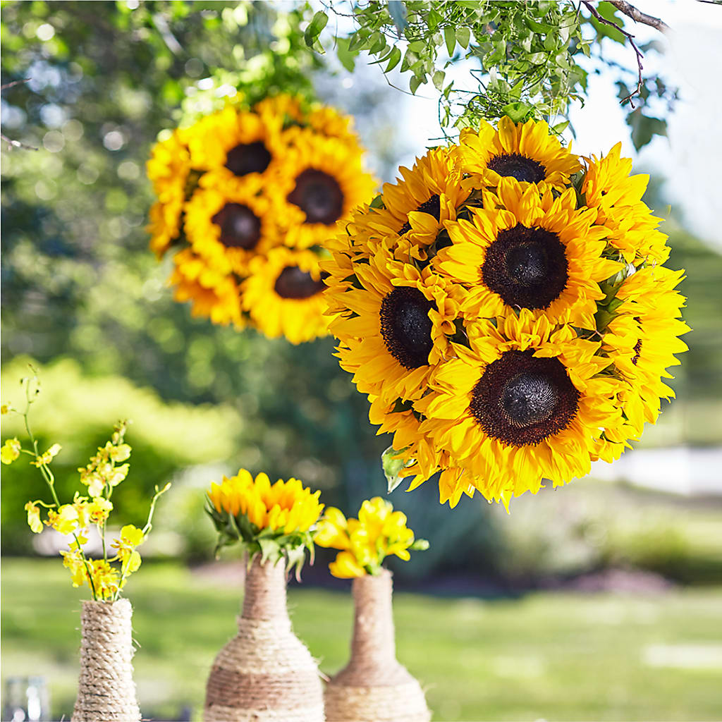 Sublime Garden Hanging Arrangement – Evergreen Flowers, Tucson AZ