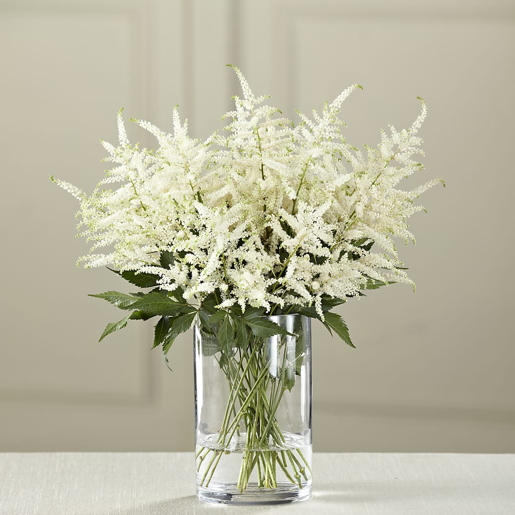 White Astilbe Bouquet – Evergreen Flowers, Tucson AZ