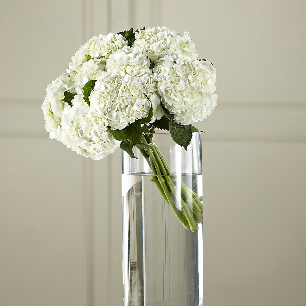 White Hydrangea Hand-Tied Bouquet – Evergreen Flowers, Tucson AZ
