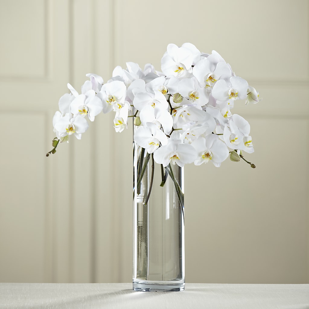 White Phalaenopsis Bouquet – Evergreen Flowers, Tucson AZ