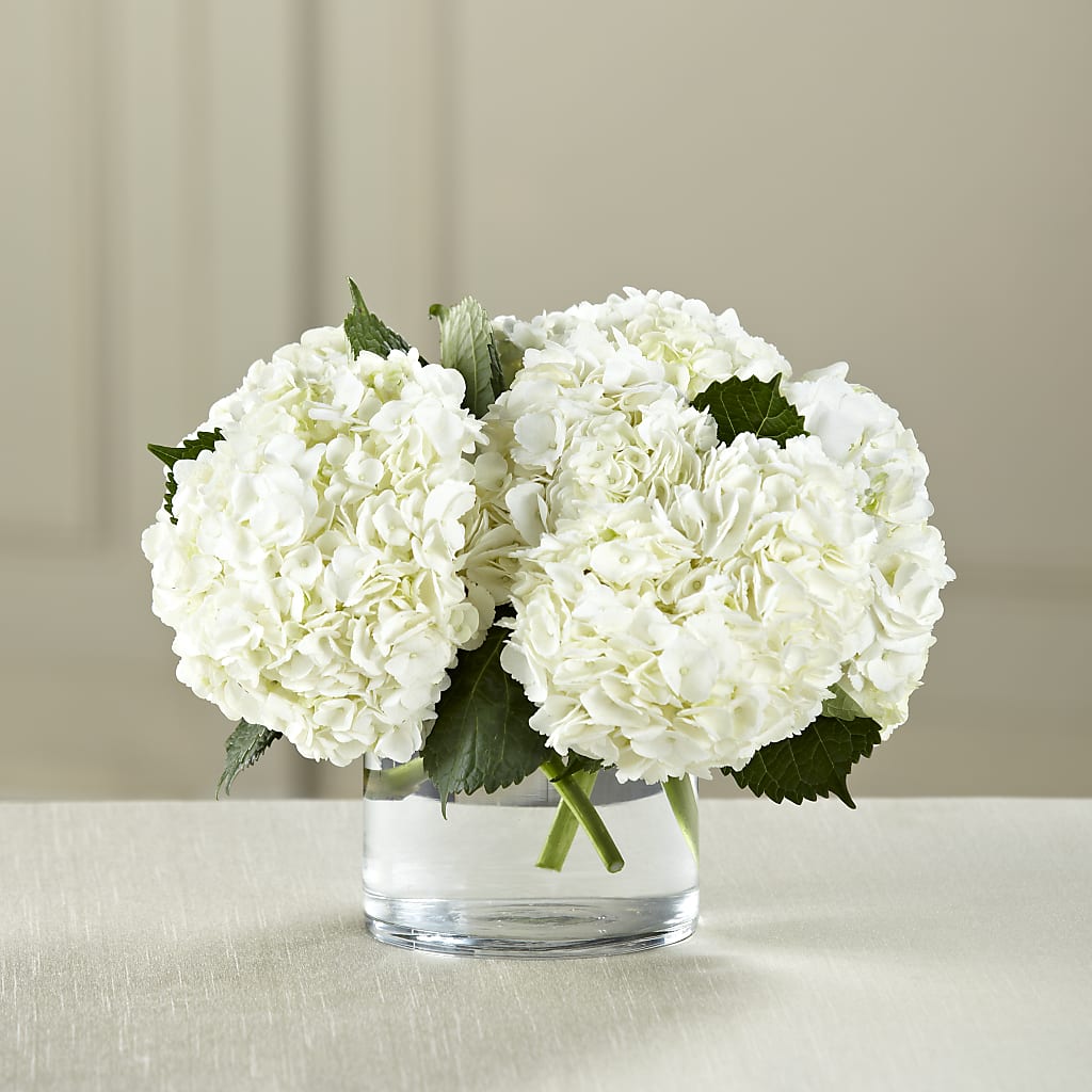 White Hydrangea Bouquet – Evergreen Flowers, Tucson AZ