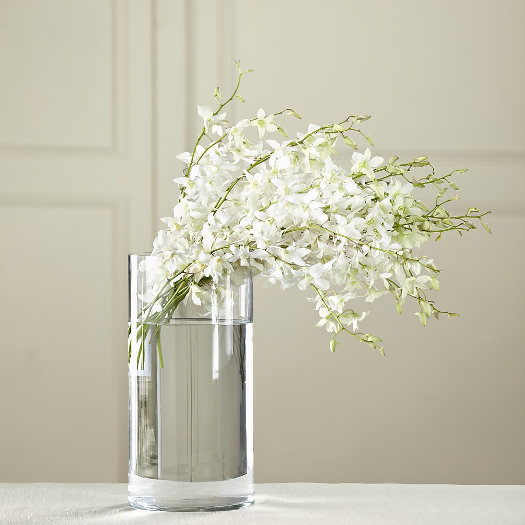 White Dendrobium Bouquet – Evergreen Flowers, Tucson AZ