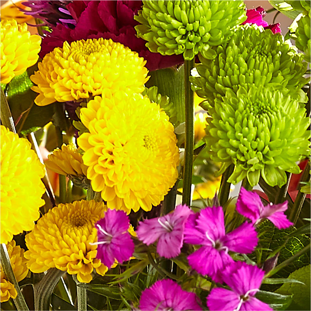 Bold & Bright – A Florist Original –  Evergreen Flowers, Tucson AZ