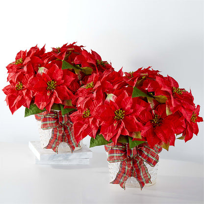 Happiest Holidays Poinsettia Bundle –  Evergreen Flowers, Tucson AZ