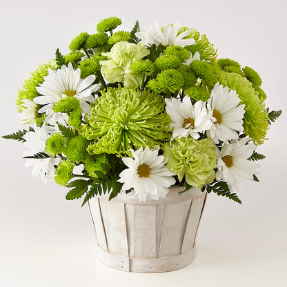 Lucky Charm Basket (Standard) –  Evergreen Flowers, Tucson AZ