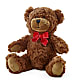 Adorable Plush Bear –  Evergreen Flowers, Tucson AZ