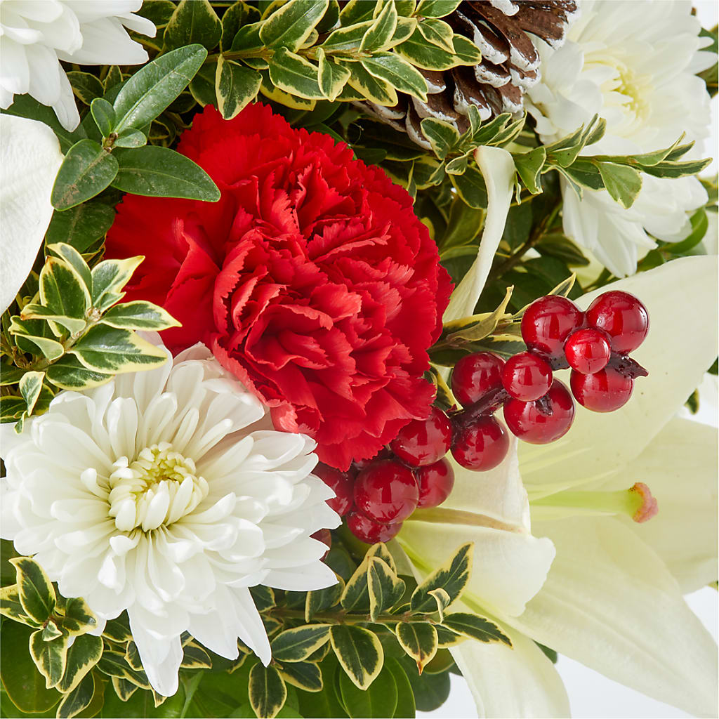 Festive Moments Tree –  Evergreen Flowers, Tucson AZ