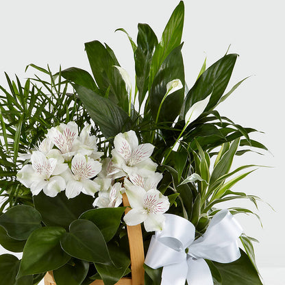 Peace & Serenity Dishgarden –  Evergreen Flowers, Tucson AZ