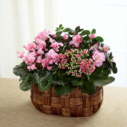 Pink Assortment –  Evergreen Flowers, Tucson AZ
