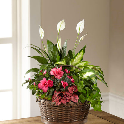 Dream in Pink Dishgarden –  Evergreen Flowers, Tucson AZ