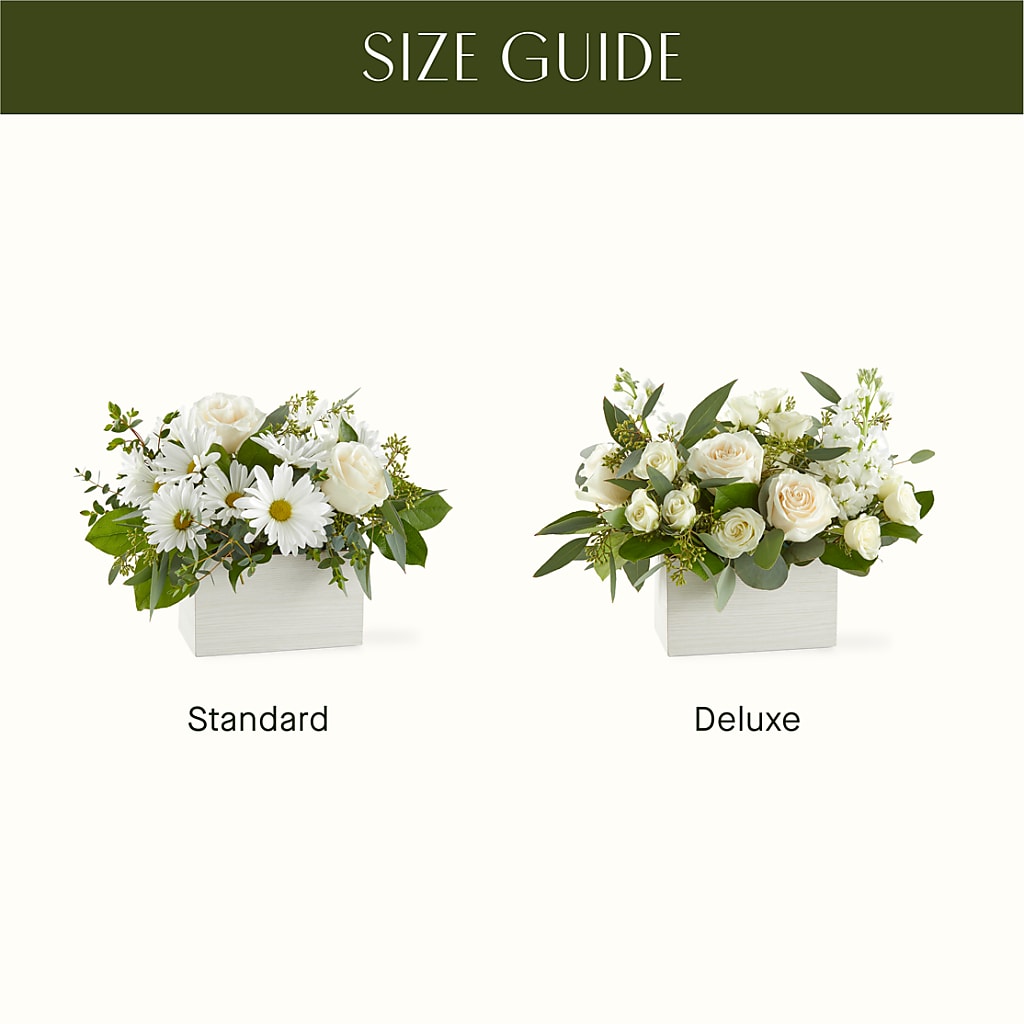 Fresh Linen Box Bouquet –  Evergreen Flowers, Tucson AZ