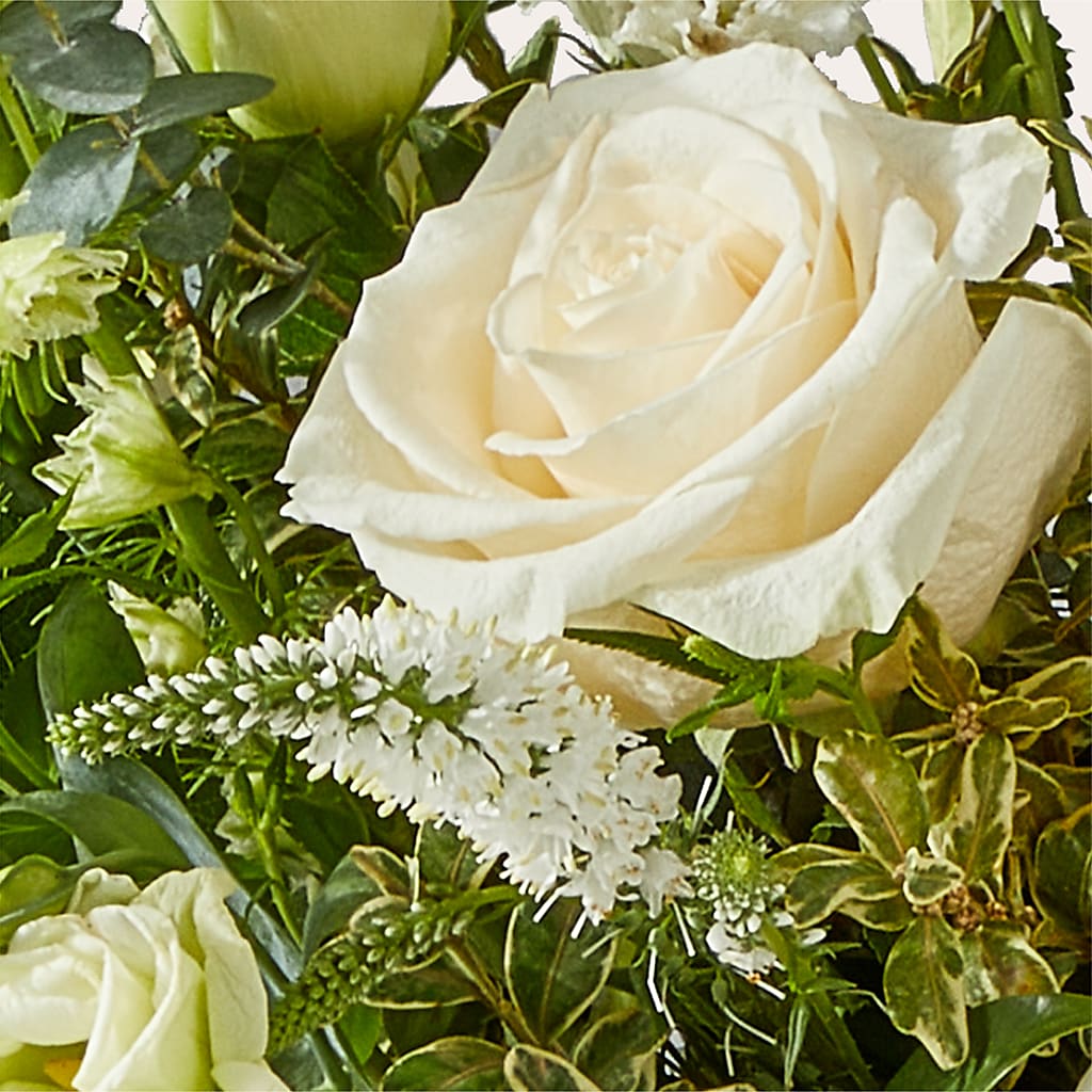 Cashmere Bouquet –  Evergreen Flowers, Tucson AZ