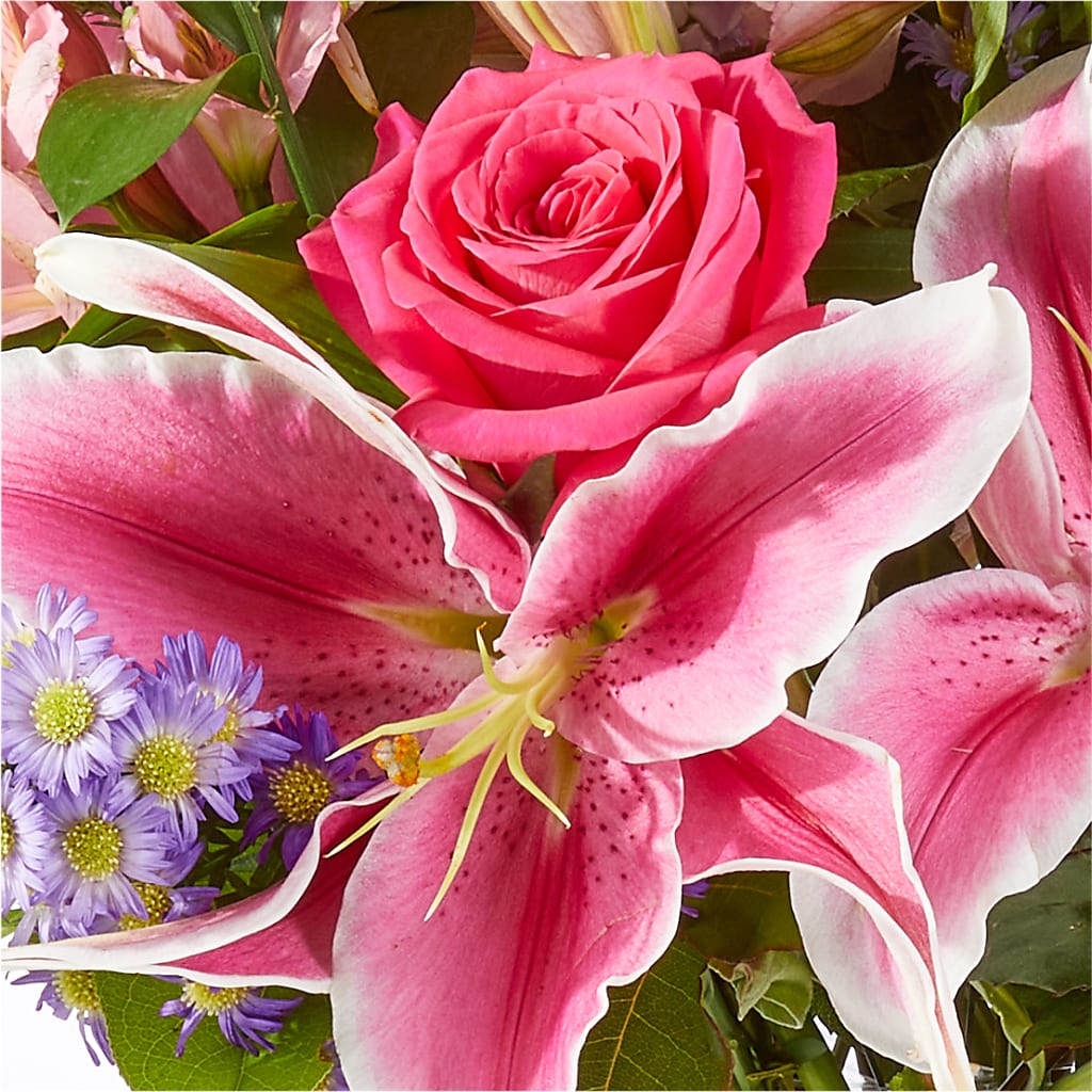 Written in the Stars Bouquet –  Evergreen Flowers, Tucson AZ