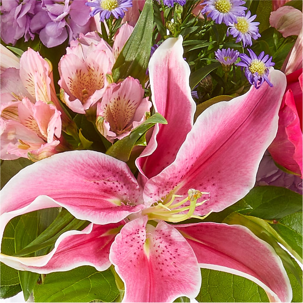 Written in the Stars Bouquet –  Evergreen Flowers, Tucson AZ