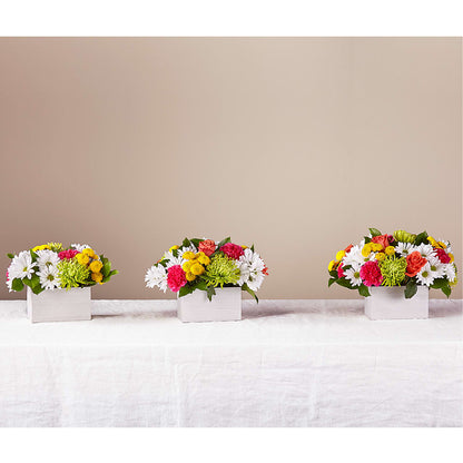 Sorbet Bouquet –  Evergreen Flowers, Tucson AZ