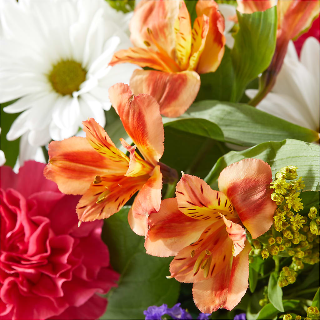 Oopsie Daisy Box Bouquet –  Evergreen Flowers, Tucson AZ